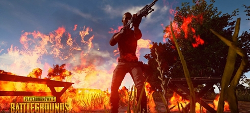 的信息来看 的信息来看