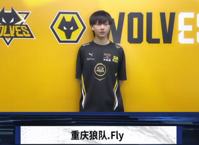 适合新手